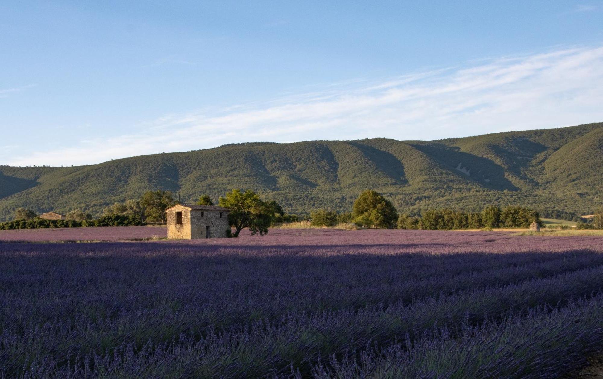 Studio Dans Le Luberon Céreste Exteriör bild