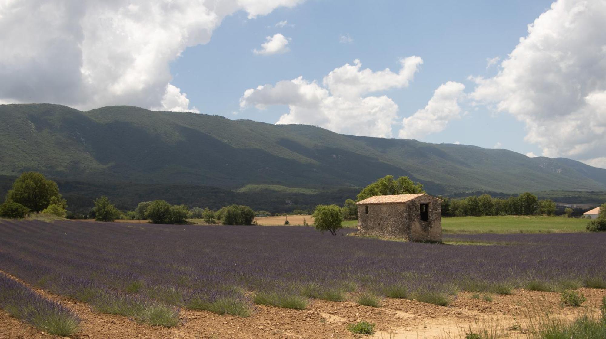 Studio Dans Le Luberon Céreste Exteriör bild